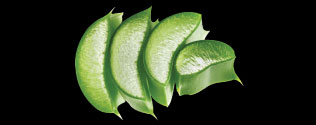 Makhamthai-Thai-spa-product-aromatherapy-Aloe-vera-soothing-serum-aloe-vera-extract