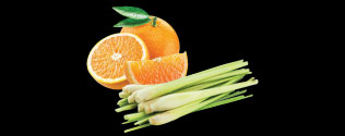 Makhamthai-Thai-spa-product-aromatherapy-lemongrass-and-orange