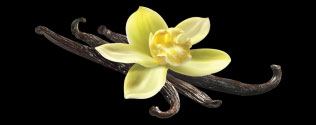 Makhamthai-Thai-spa-product-aromatherapy-vanilla-oil